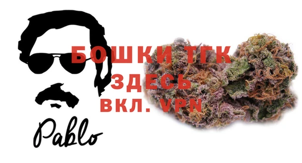 прущие грибы Верхний Тагил