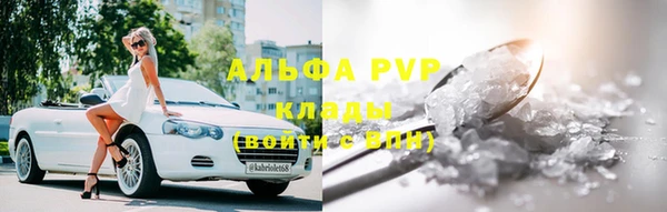 прущие грибы Верхний Тагил