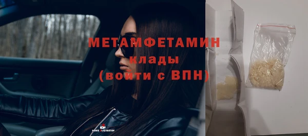 прущие грибы Верхний Тагил