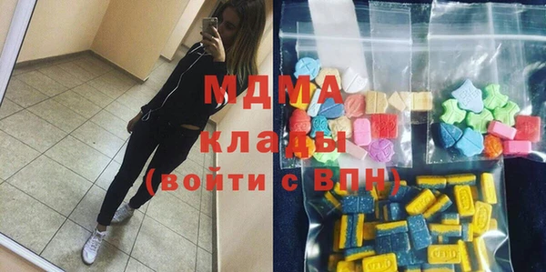 мдпв Бородино