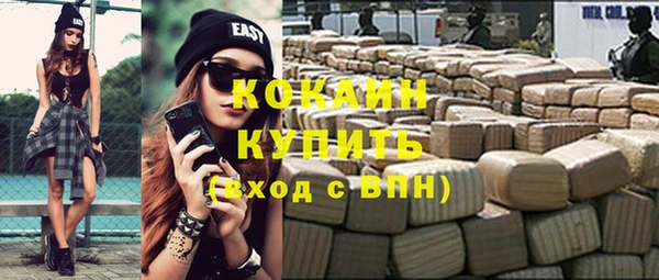 прущие грибы Верхний Тагил