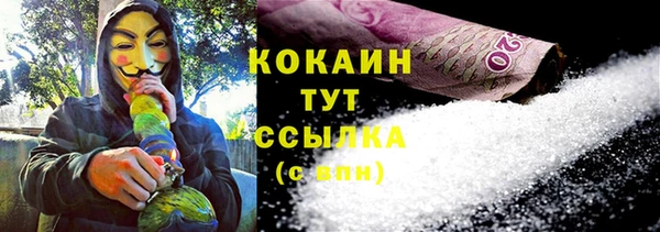 прущие грибы Верхний Тагил