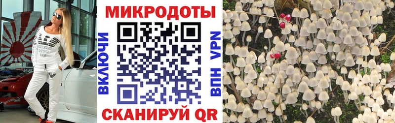 Галлюциногенные грибы MAGIC MUSHROOMS Псков